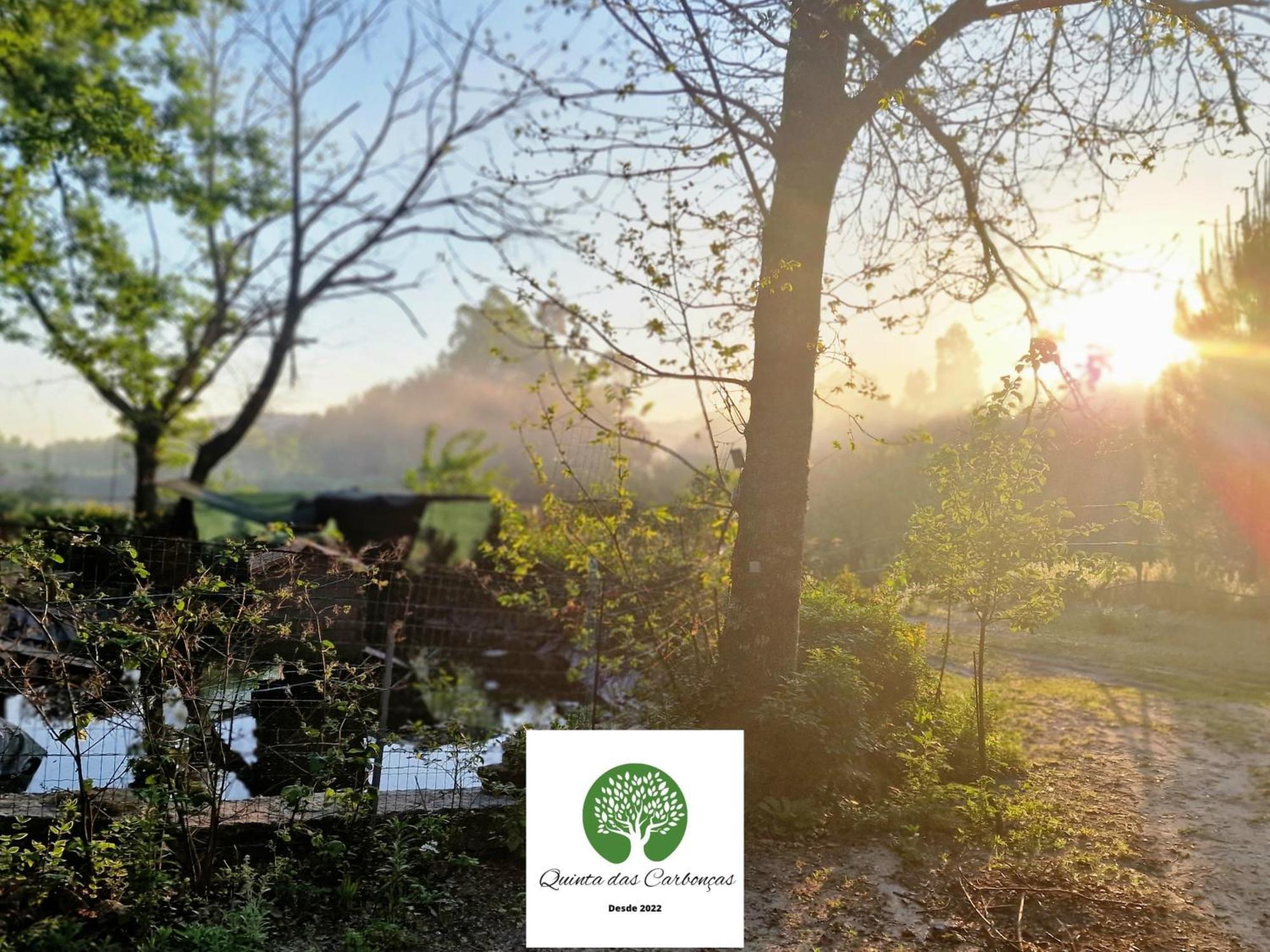 Quinta Das Carboncas ファフェ エクステリア 写真