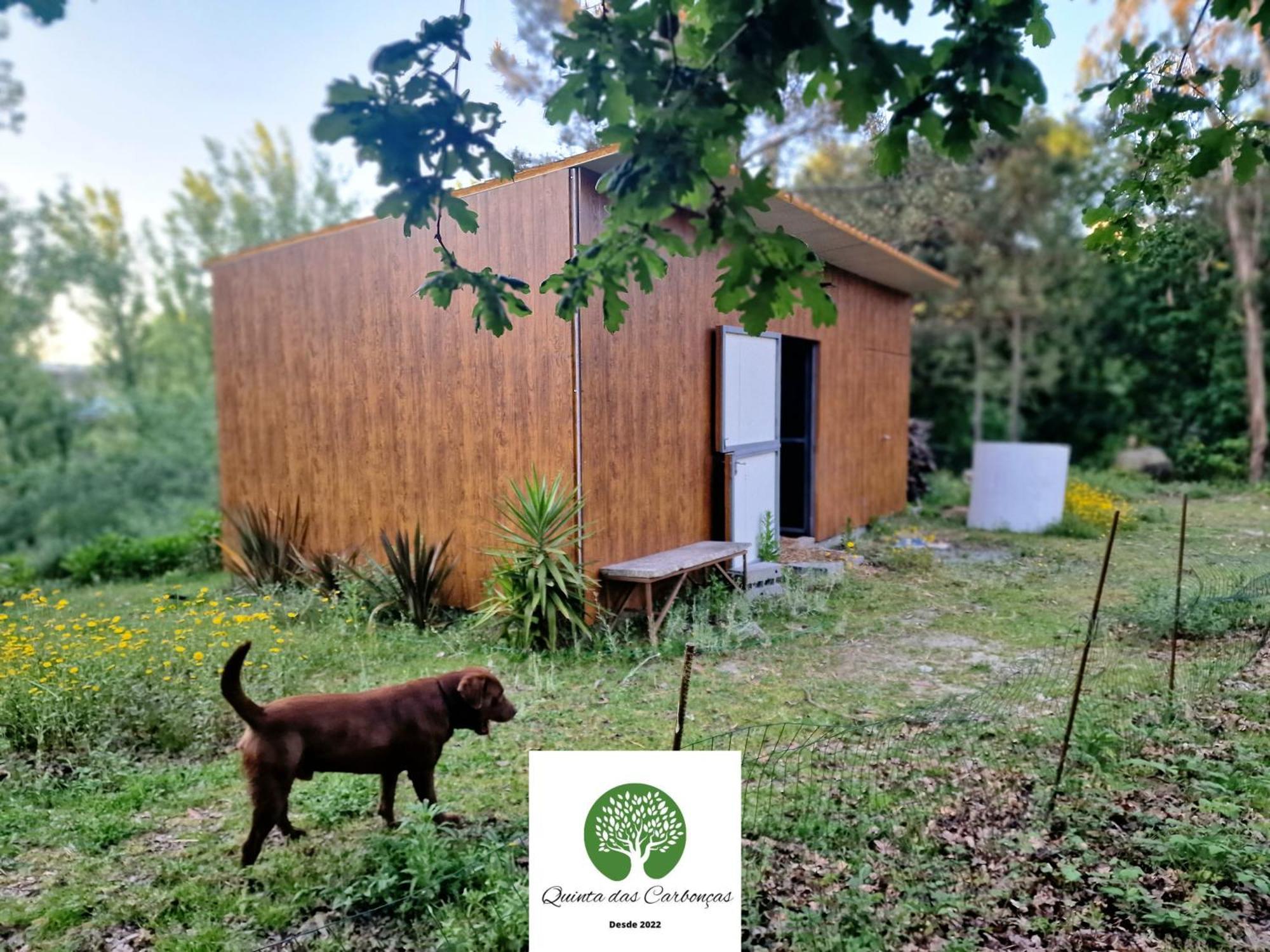 Quinta Das Carboncas ファフェ エクステリア 写真