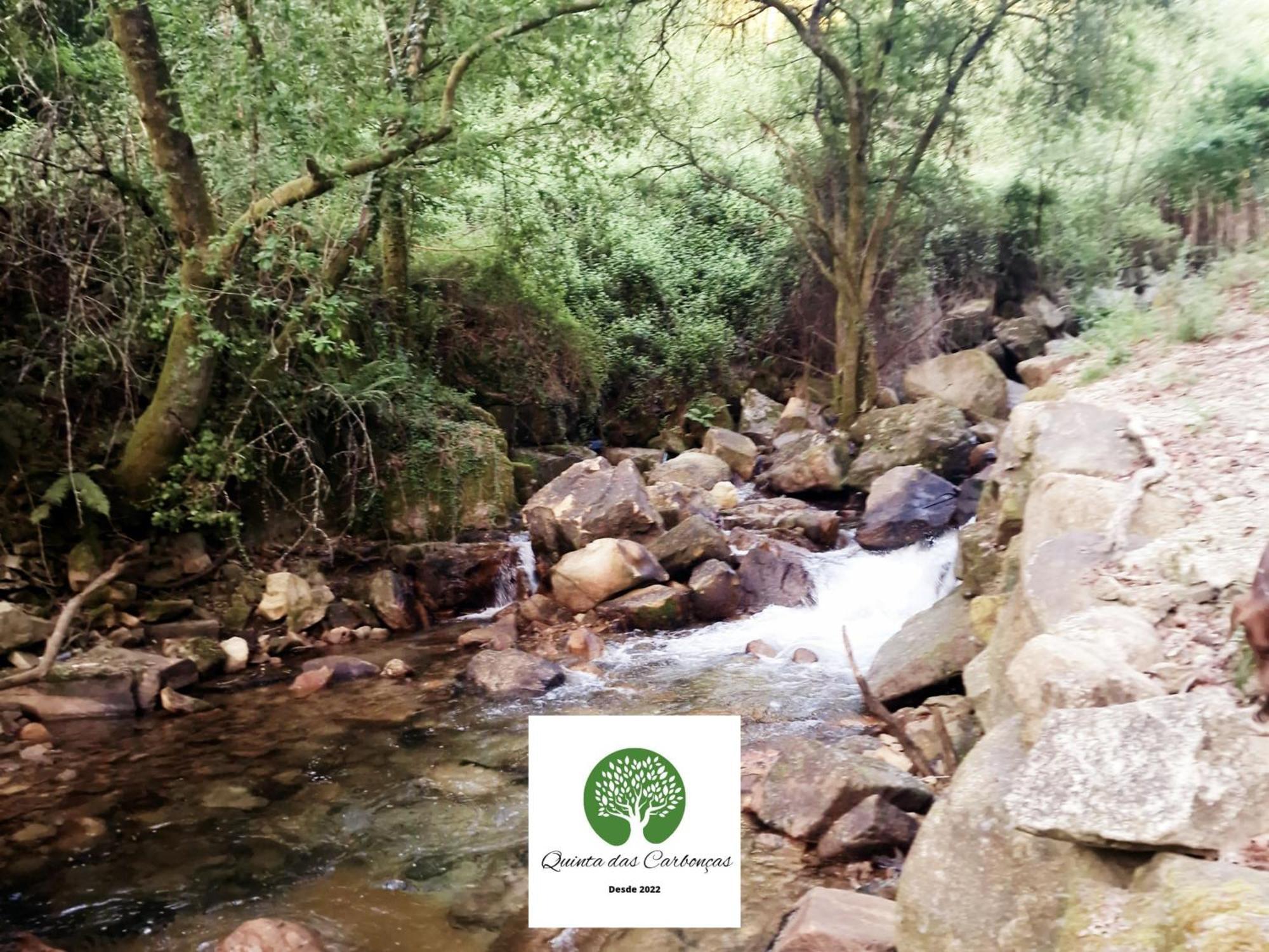 Quinta Das Carboncas ファフェ エクステリア 写真