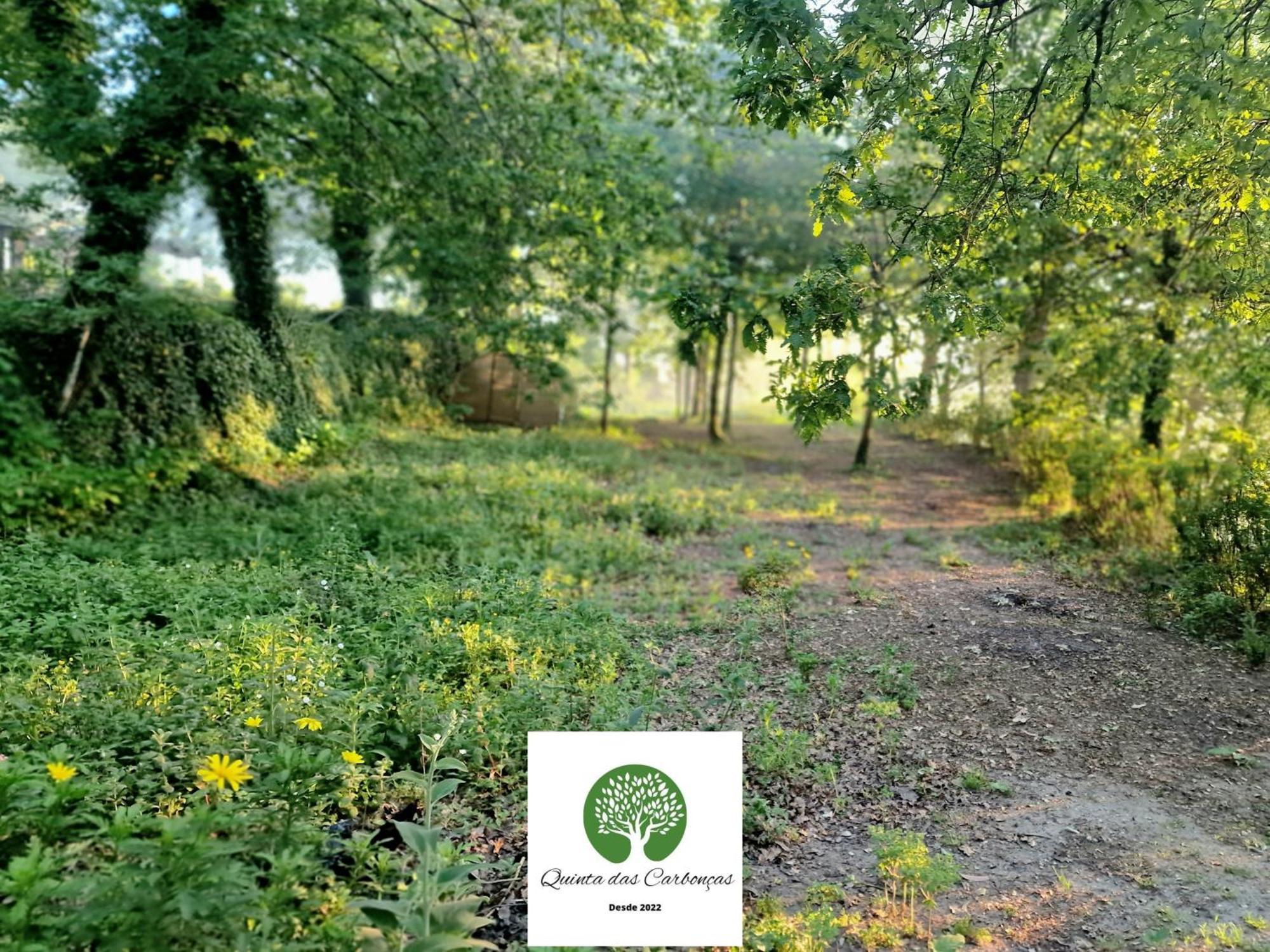 Quinta Das Carboncas ファフェ エクステリア 写真
