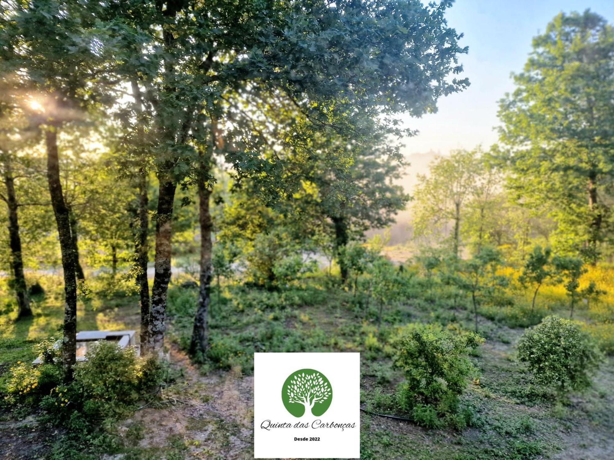 Quinta Das Carboncas ファフェ エクステリア 写真