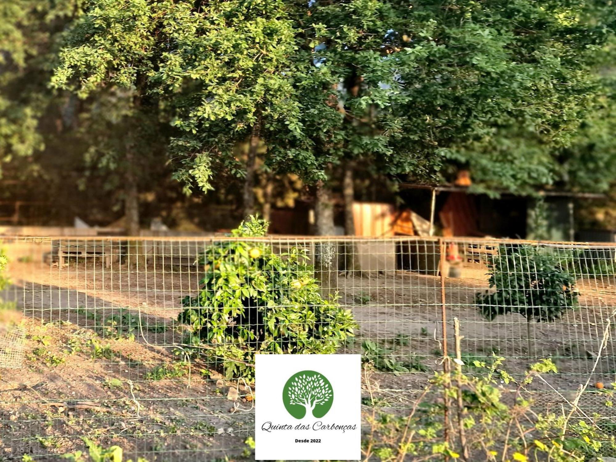 Quinta Das Carboncas ファフェ エクステリア 写真