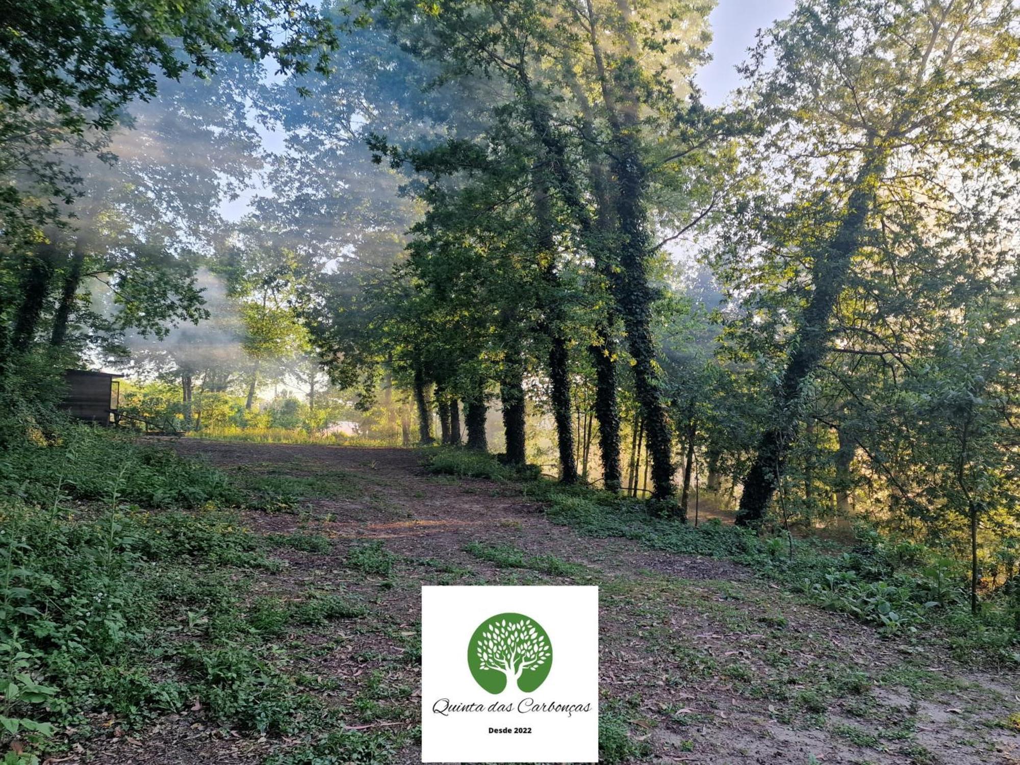 Quinta Das Carboncas ファフェ エクステリア 写真